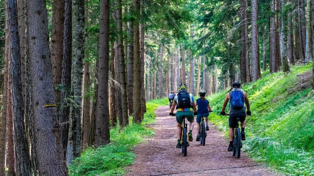  Visites guidées en VTT